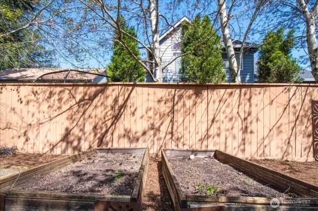 Raised Garden Beds