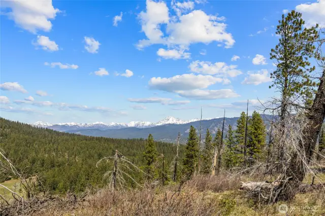 Stunning views of the Stuart Range!