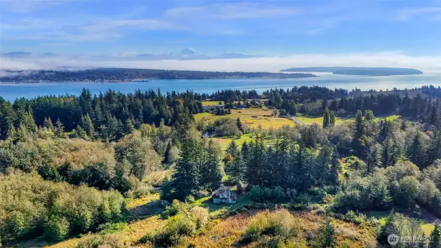 Perfect central island location!