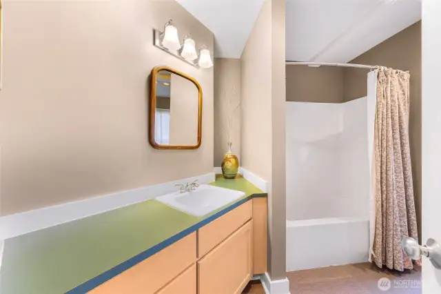 Downstairs full bathroom with large counter space