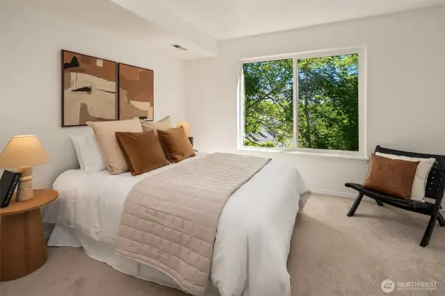 Lower level bedroom