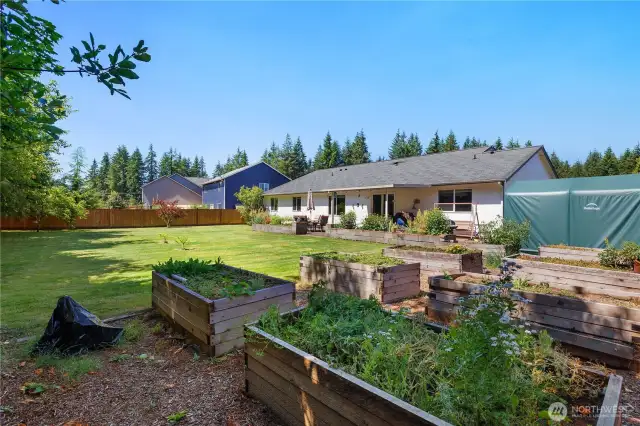 Established garden beds with plum tree and blueberries galore!