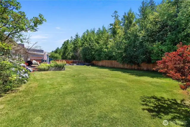 Backyard is private with no one looking back at you!