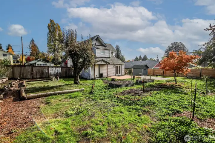 Landscape is drought tolerant, new Japanese maple, so much possibility for more planting or other ideas!
