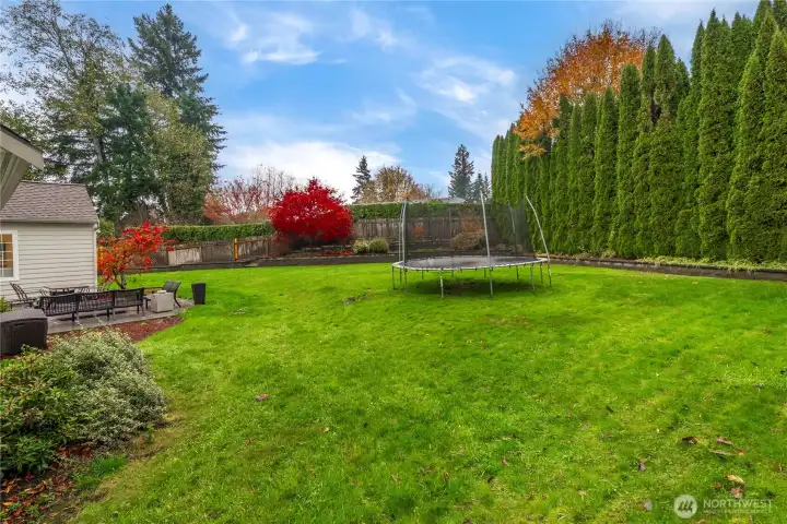 established trees provide privacy back here