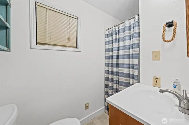 Mallard Duck - bathroom