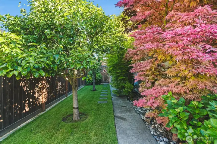 Fenced in side yard