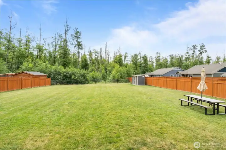 Expansive backyard backing to nature near salmon-spawning creek and walking trail in Stanwood WA Expansive backyard backing to nature near salmon-spawning creek and walking trail in Stanwood WA
