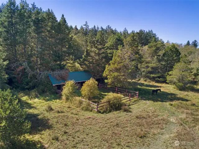 21 acre adjoining acreage with stables, pond and one of the last known stands of yellow paintbrush flowers on SJI.