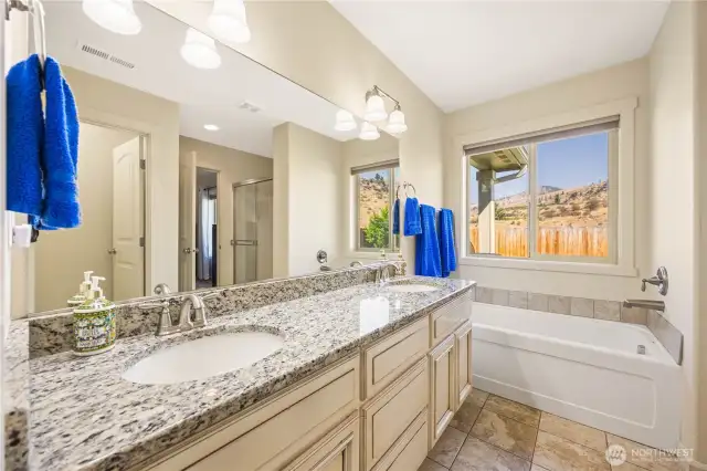 primary bathroom view #2