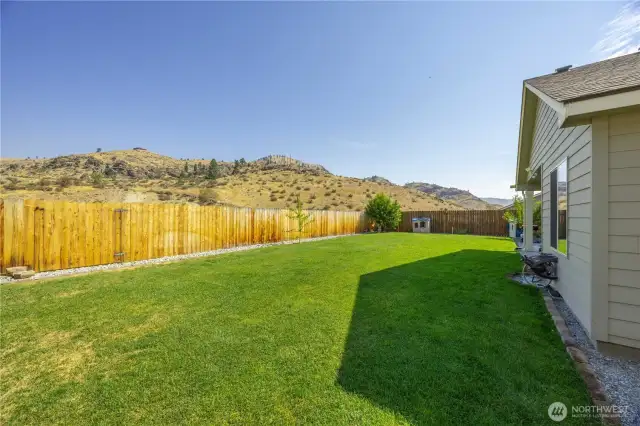 large backyard w/ access to the backfield