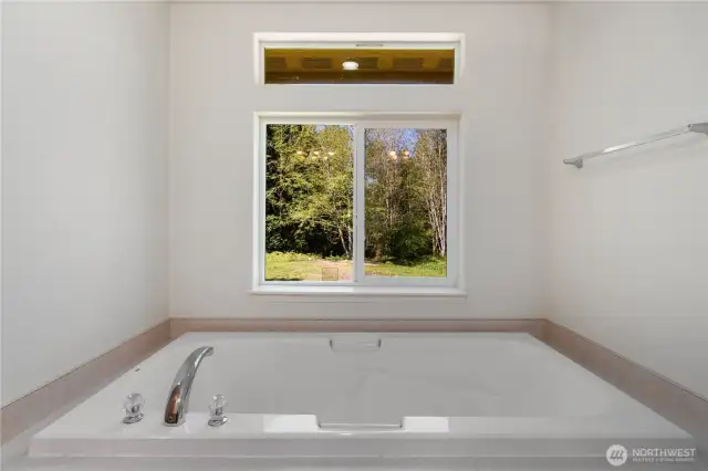 Soaking tub with view