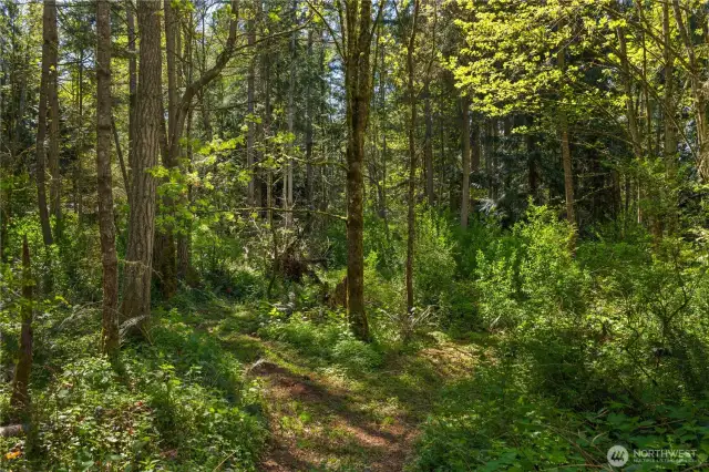 Over 100 Huckleberry bushes. Native black berries. Chanterelle and oyster mushrooms. Enjoy the tranquility of overt a 1/4 mile of hiking trails.  50% of property fenced in.  Quiet and peaceful   Abundance of birds and wildlife