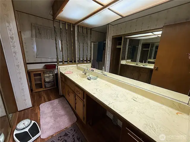 Primary ¾ bathroom with another mirrored closet to the left and a so much counter space