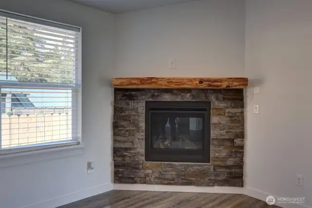Propane Fireplace