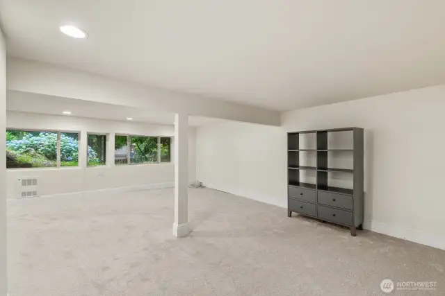 Large Entertainment Basement.