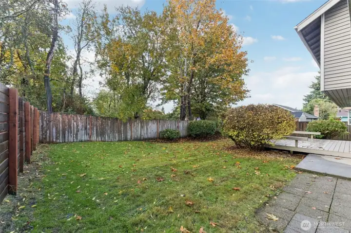View of back yard.