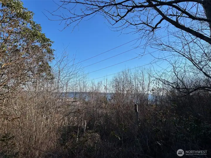 14,375 square foot lot overlooking Port Townend Bay.