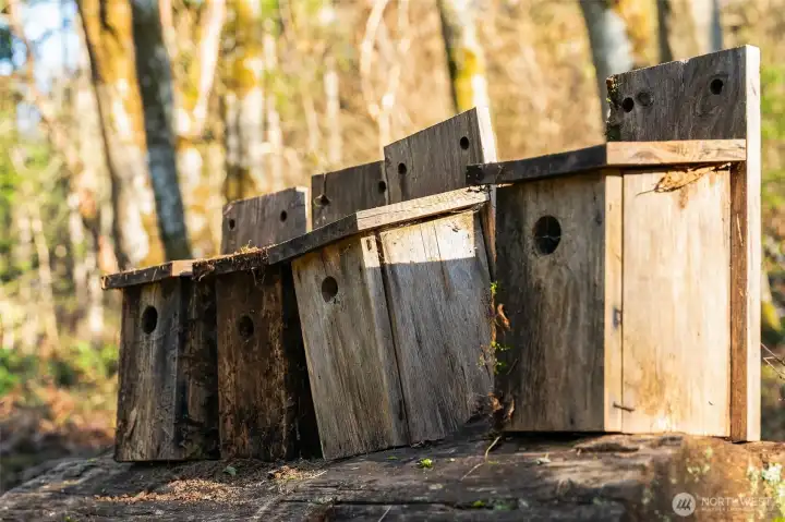 Many birds call the property home.