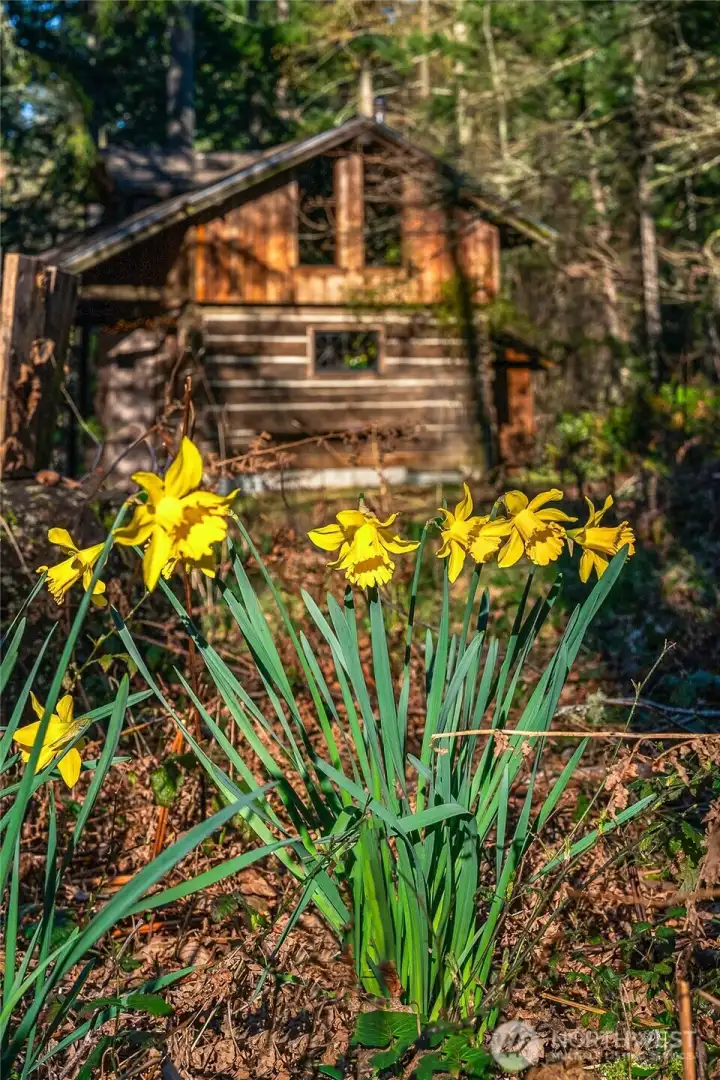 It's a magical spot!