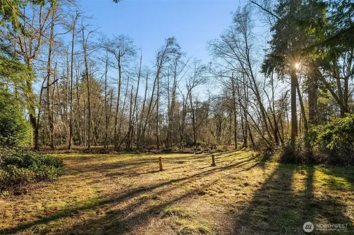 This meadow greats you as you enter the property. This is the set-aside building site for a future home. Lots of great sun exposure here.