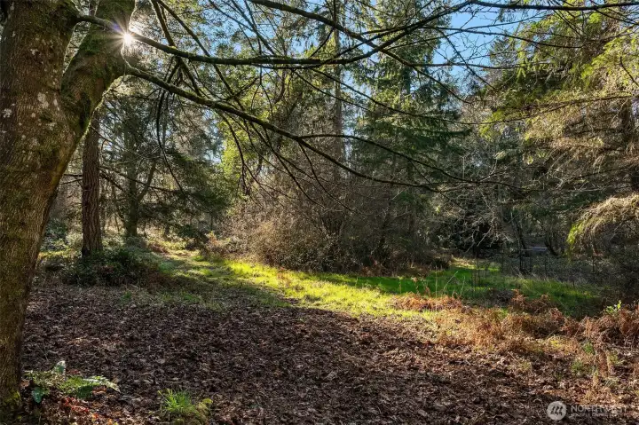 One can explore all day!