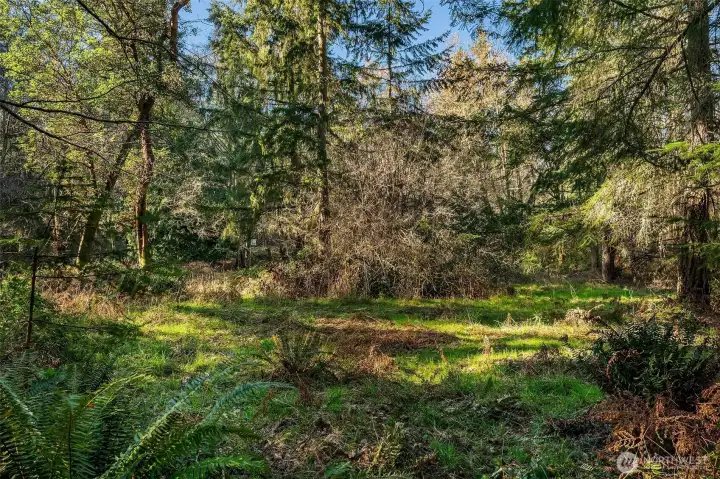 In summer, the grounds are lush and green.