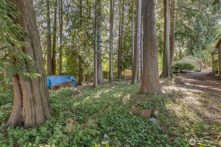 The vacant lot is mostly level.