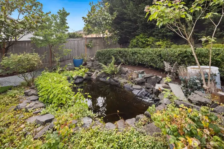 Custom koi pond.