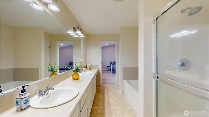 Master bathroom looking bedroom