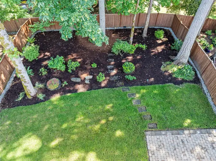 Expansive Back Yard