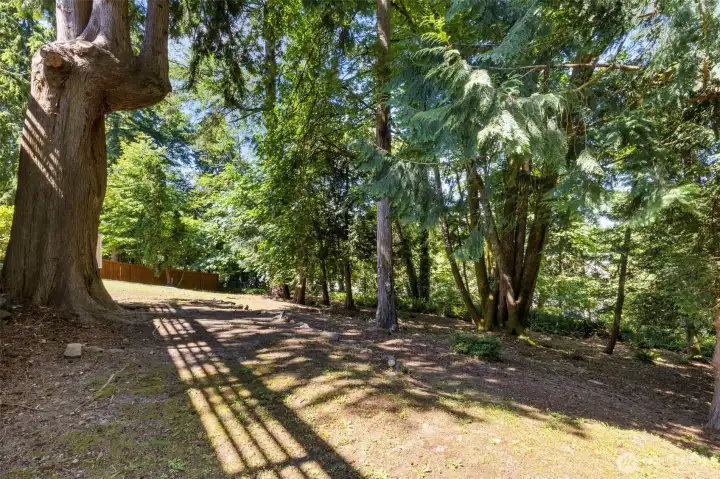 Nicely shaded by trees this home is cool and relaxing inside. Nicely shaded by trees this home is cool and relaxing inside.