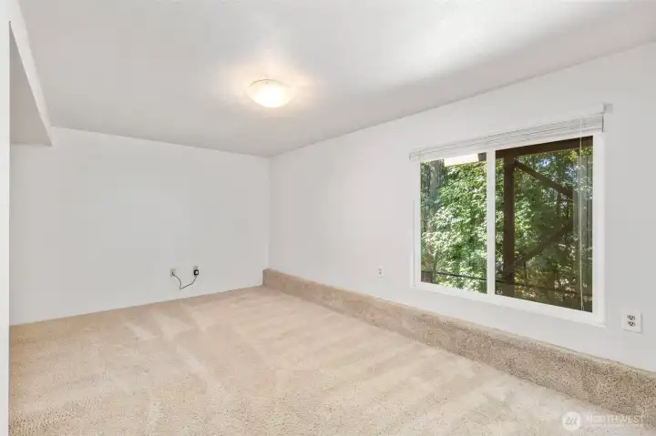 Bonus room on the lower floor. MIL? Rental? Office? Bonus room on the lower floor. MIL? Rental? Office?