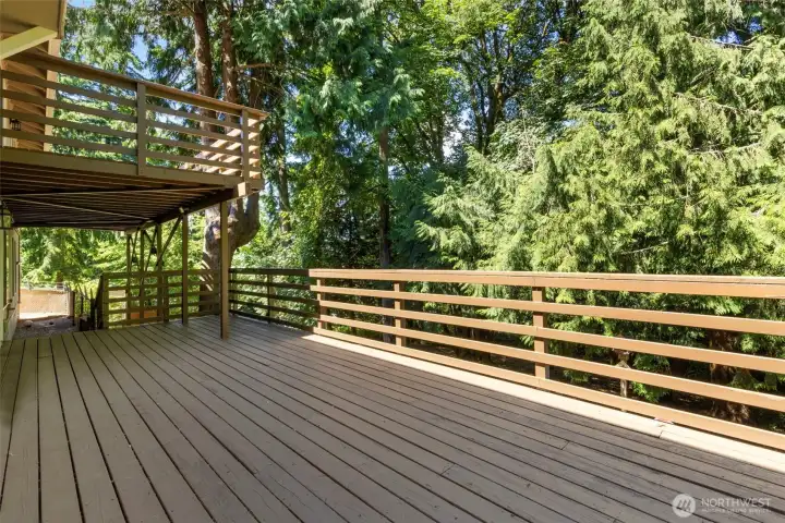 Lower deck area off the large bonus room area downstairs. Lower deck area off the large bonus room area downstairs.