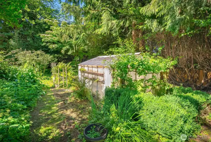 Mature landscaping with a greenhouse