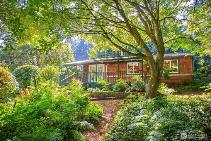 A private side yard with mature landscaping