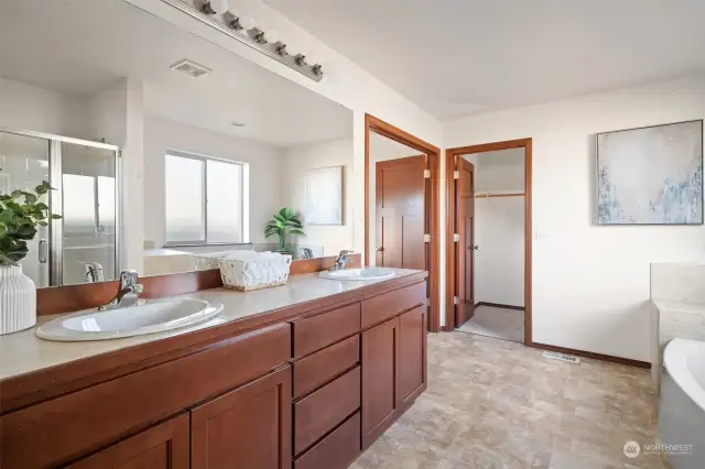 Large vanity mirror and double sinks in primary with generous walk in closet