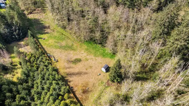 Nice dirt driveway to the property...Very private and fun place to to camp or setup your RV for a Glamping experience while you get ready to build!