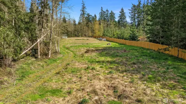 Property has been mowed since these pictures - easy to walk around.