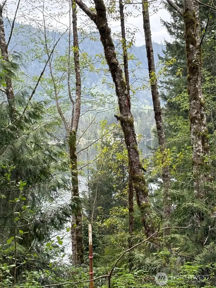 partial review on West Shore