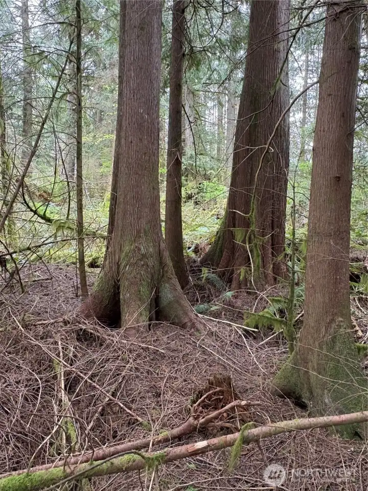 Parked out to keep that all natural feeing with privacy