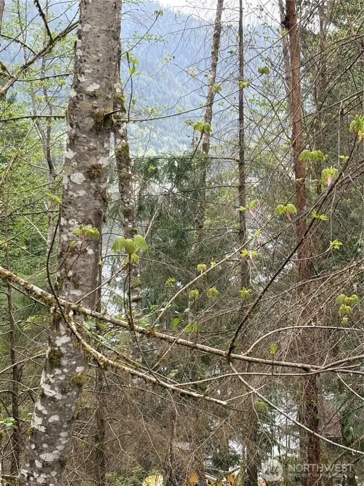 you are going to love it here.