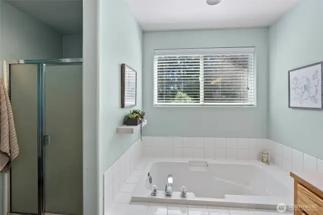 Primary bath with large tub