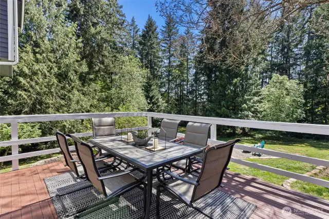 Large deck to hang out in the sun!
