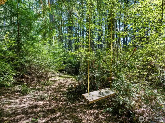 Adorable forest swing!