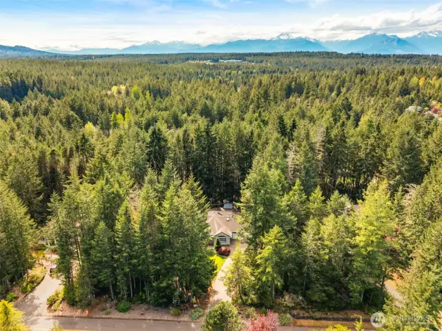 Nestled amongst the trees, this home sits on a generous .83 acre lot affording you the privacy and quiet that you desire.