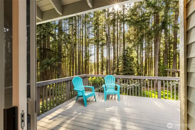 Back deck is HUGE with nice view of the large yard.