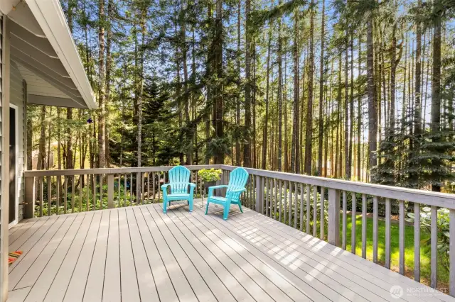 Another view of deck, HUGE space for entertaining or BBQ.