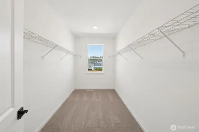 Actual house photos!