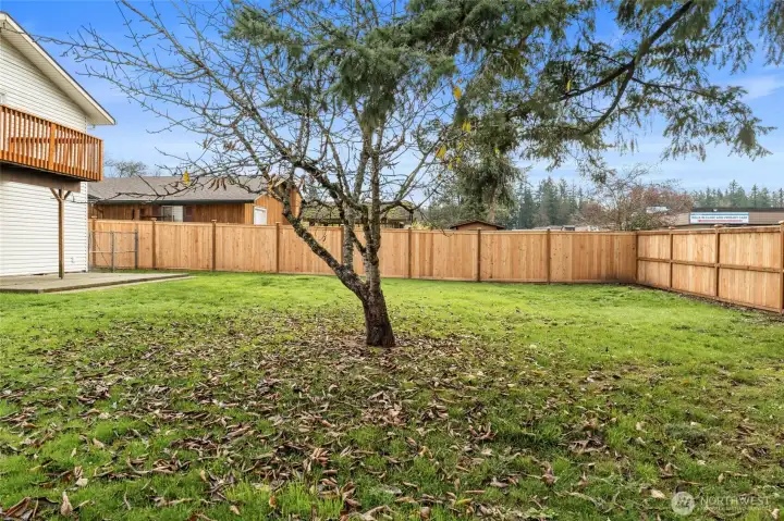 BRAND NEW BEAUTIFUL FENCE | This backyard provides the safety of being completely fenced in. The new fence will be good for years to come.